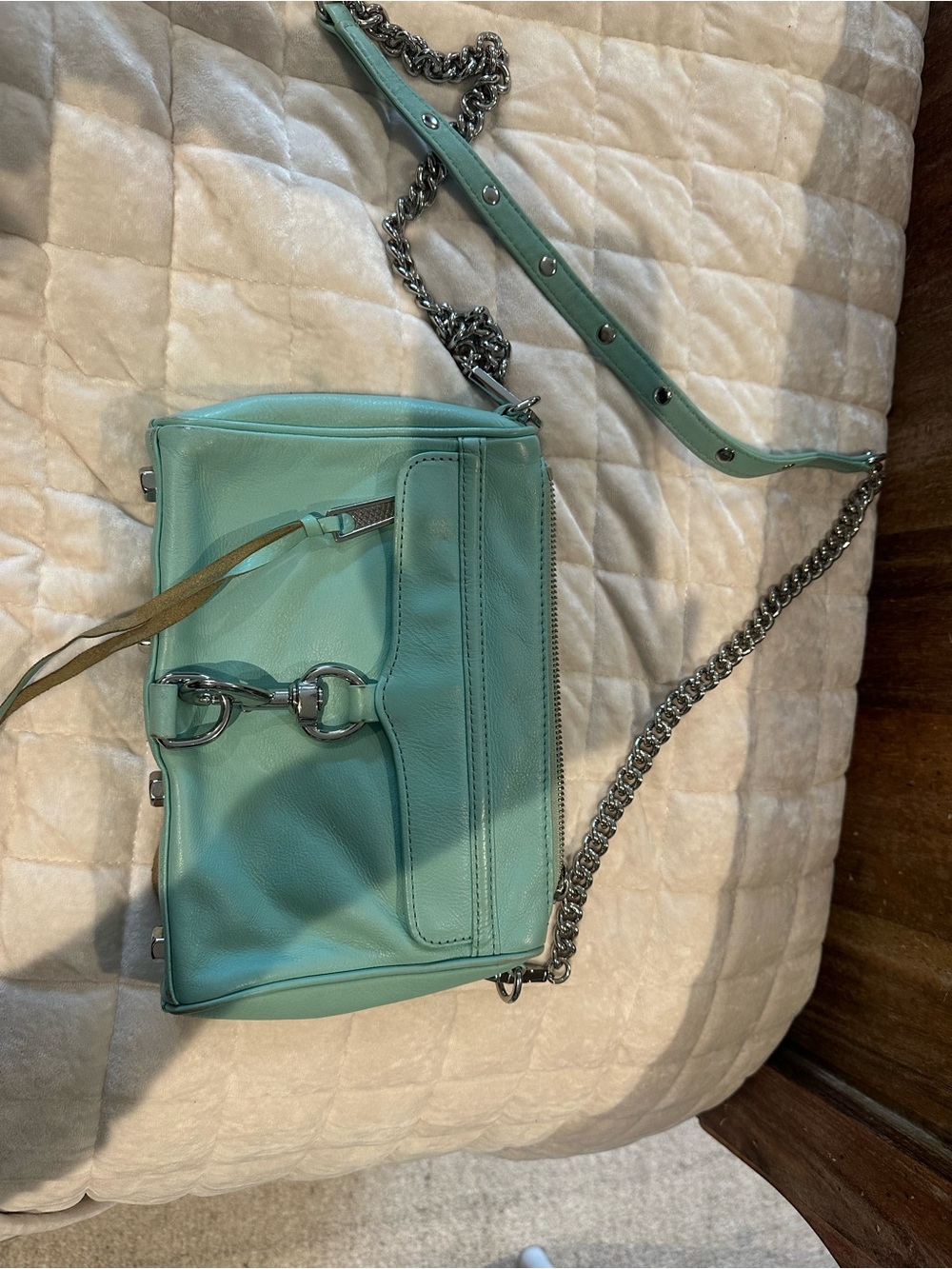 Rebecca Minkoff Mint Green Leather Crossbody with Silver Chain
